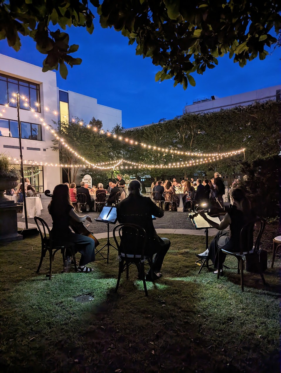 Uplighting and Cafe Lighting